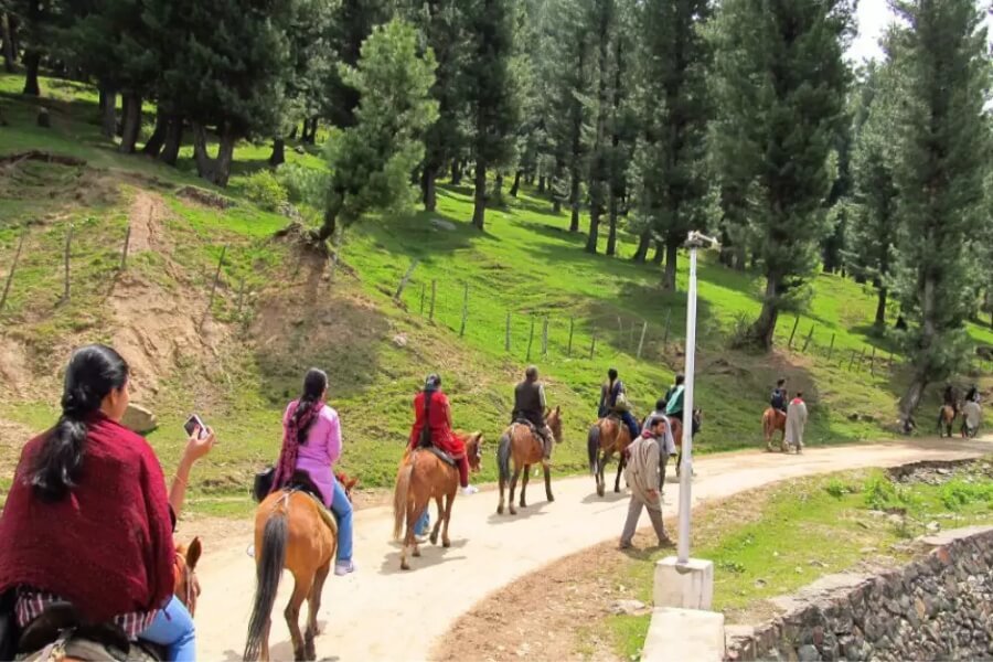 pony ride in kashmir