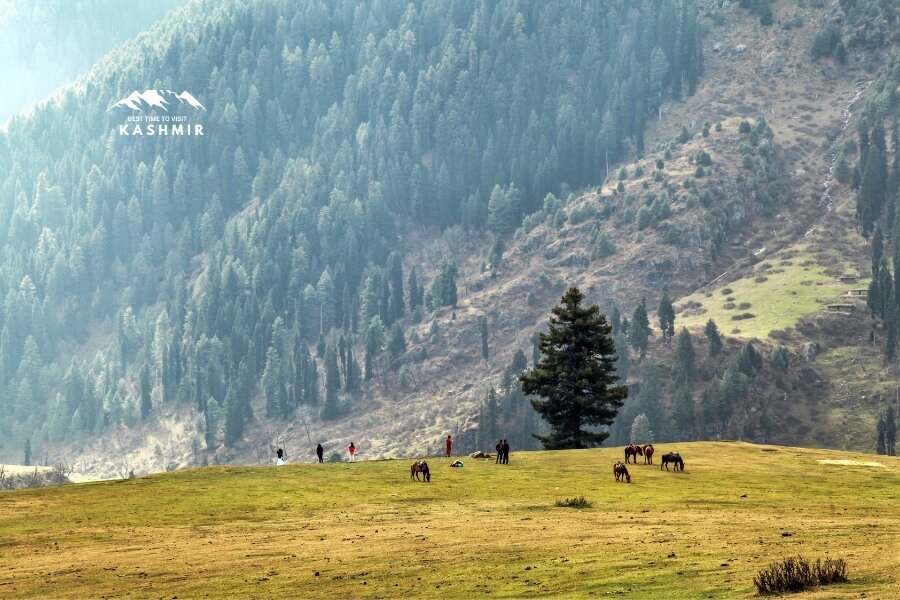 baisaran or aru valley