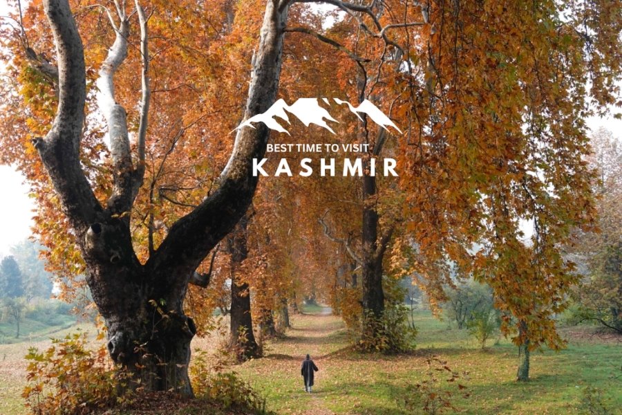 plaining to kashmir in autummn season