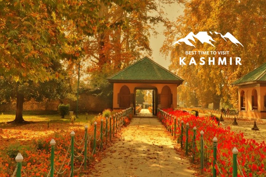 The best photography spots to capture autumn landscapes in Kashmir (1)