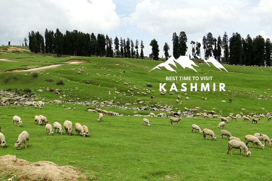 Wildlife and biodiversity in Kashmir