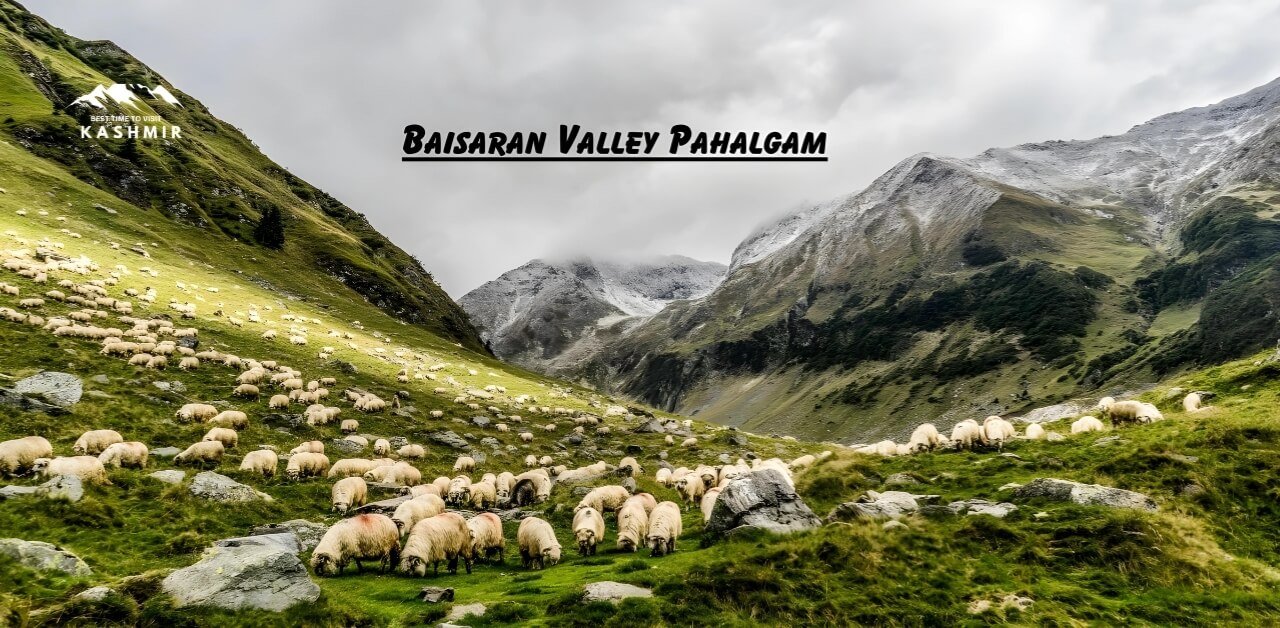 Baisaran Valley Pahalgam