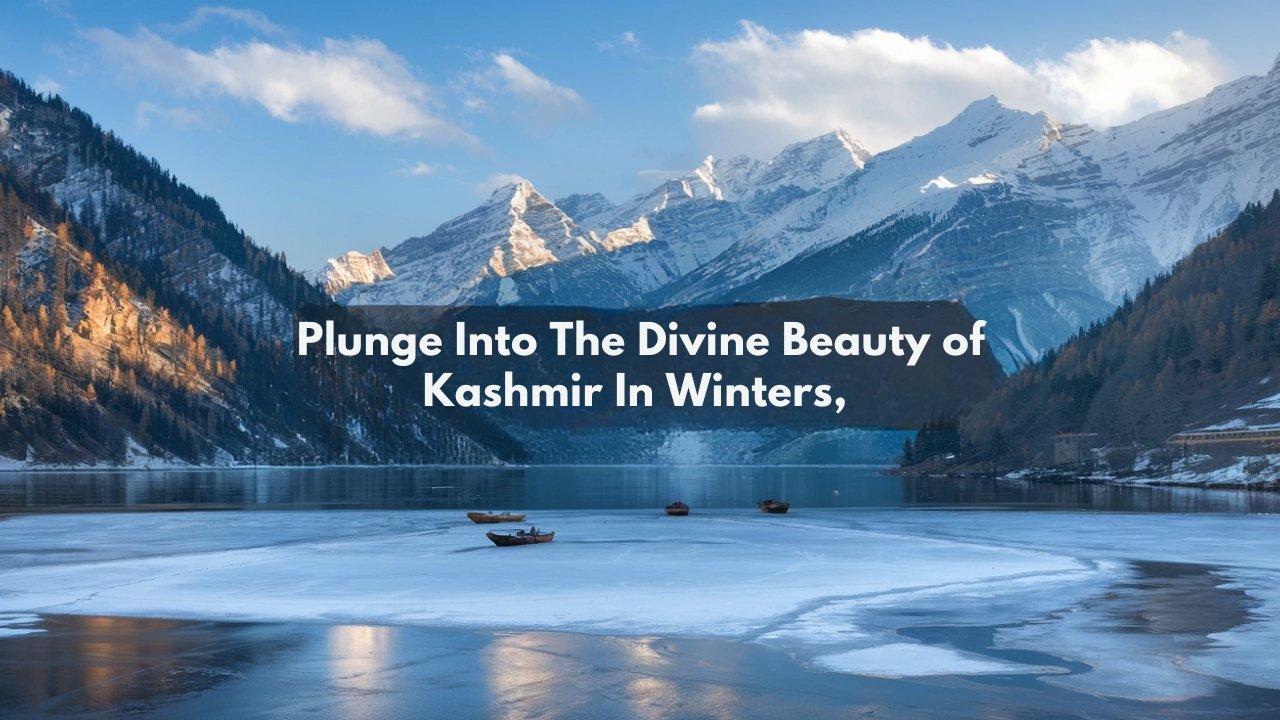 Plunge Into the Divine Beauty of Kashmir in Winters