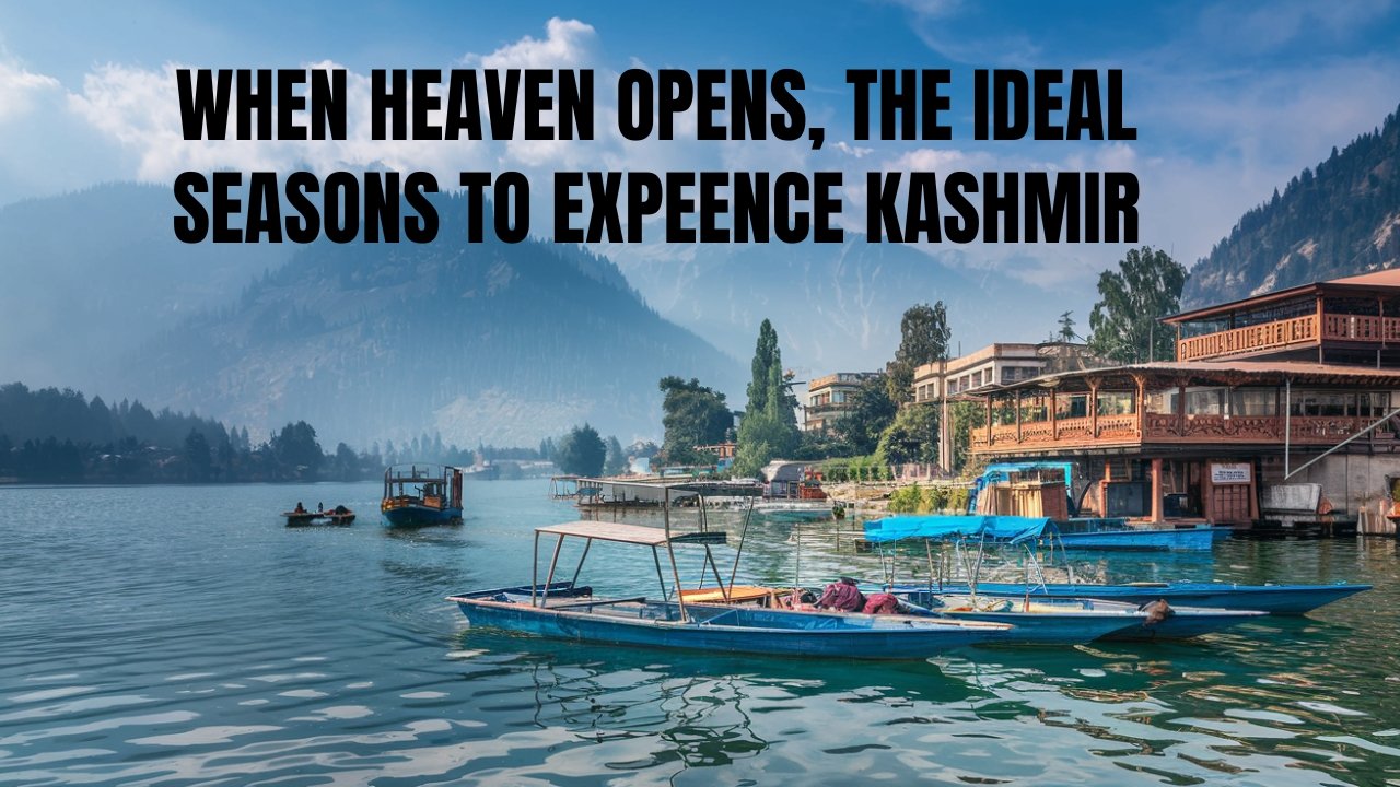 The Ideal Seasons to Experience Kashmir